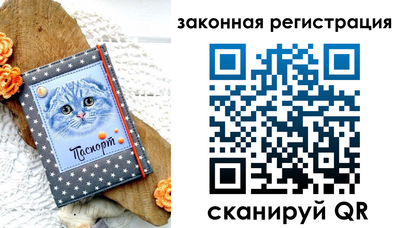 регистрация в Ингушетии